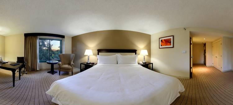 圣何塞喜来登(Sheraton San Jose)图片