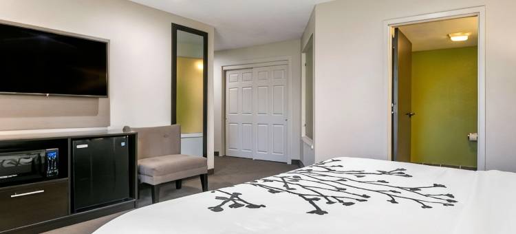 阿伦敦 - 福格尔斯维尔舒眠酒店(Sleep Inn Allentown-Fogelsville)图片