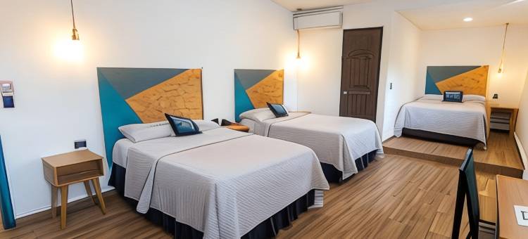 奇特拉里酒店(Hotel Citlalli)图片