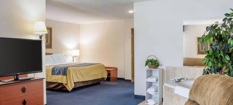 皮克顿舒适酒店靠近展览场(Comfort Inn Piketon Near Fairgrounds)图片