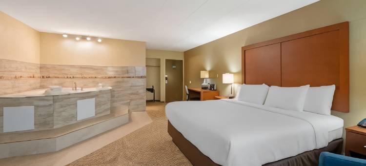 舒适酒店及套房印第安纳波利斯西北 - 学院公园(Comfort Inn & Suites Indianapolis Northwest - College Park)图片