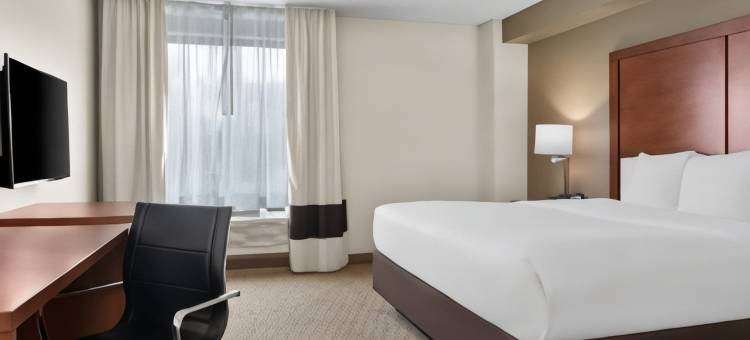 舒适套房酒店(Comfort Inn & Suites)图片