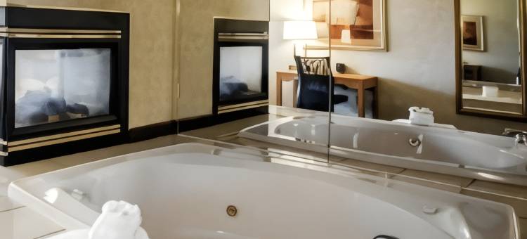 哈尼斯商场舒适套房酒店(Comfort Suites Hanes Mall)图片