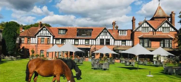 新森林布罗肯赫斯特森林公园乡村酒店(Forest Park Country Hotel & Inn, Brockenhurst, New Forest, Hampshire)图片
