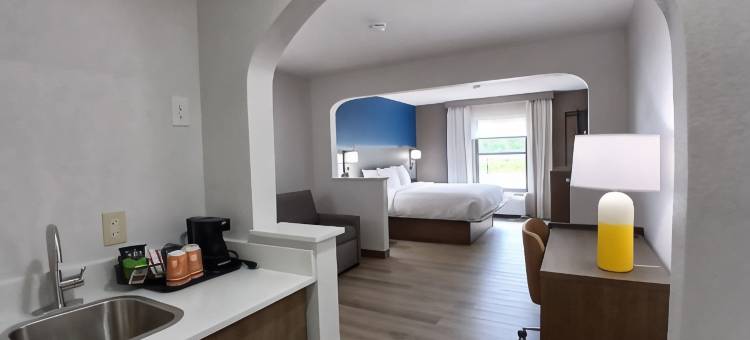 舒适酒店(Comfort Inn Near Downtown & Blue Ridge Pkwy)图片