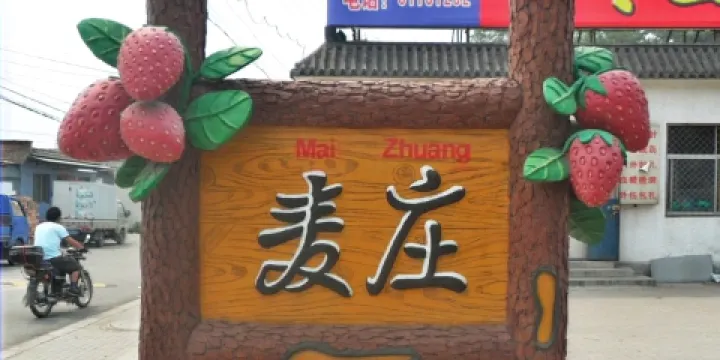 麥莊村