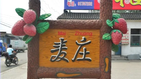 麥莊村
