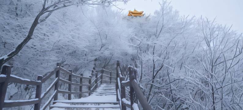 懒云窝民宿(洛阳栾川老君山景区店)图片