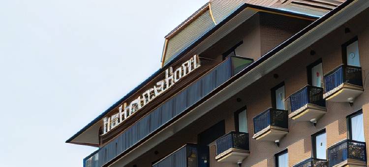 成田爱迪星大酒店(The Hedistar Hotel Narita)图片