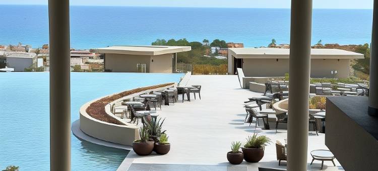 为成人设计的King Jason Zante(King Jason Zante – Designed for Adults)图片