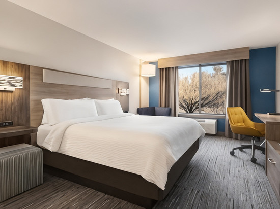 智选假日套房酒店东格林布什(奥尔巴尼蓝天)