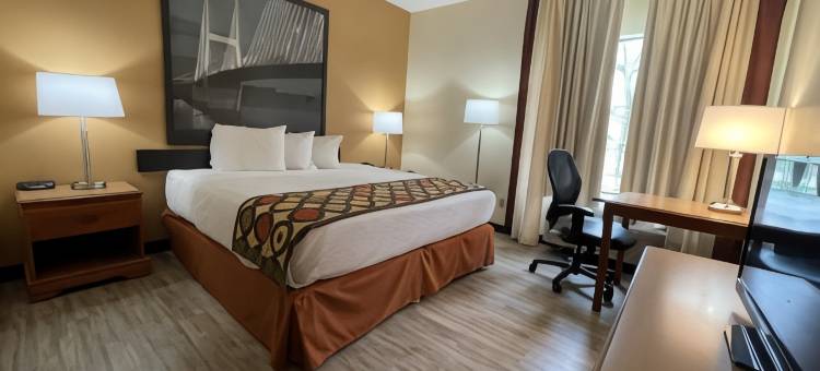 佩韦利温德姆速8酒店(Super 8 by Wyndham Pevely)图片