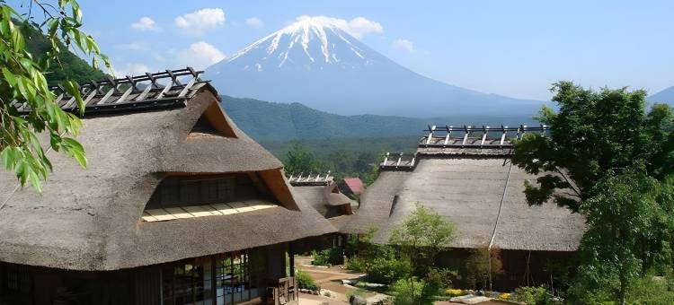 游乐富士山车站别墅(Station Villa Plaisir Mt. Fuji)图片