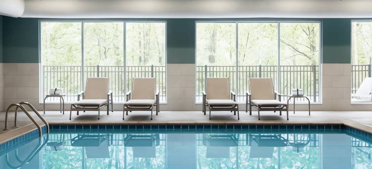 布福德 - 乔治亚购物中心智选假日酒店(Holiday Inn Express & Suites BUFORD – MALL OF GEORGIA)图片