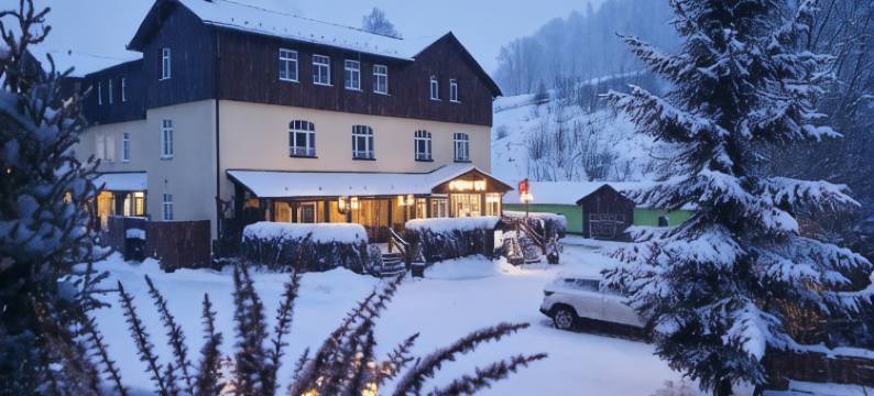 赛夫纳霍夫酒店(Hotel Seiffener Hof)图片