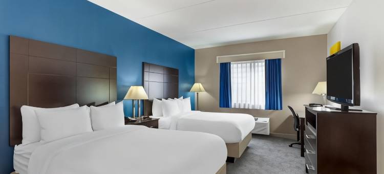 曼德林 - 弗农希尔斯舒适套房酒店(Comfort Inn & Suites Mundelein-Vernon Hills)图片