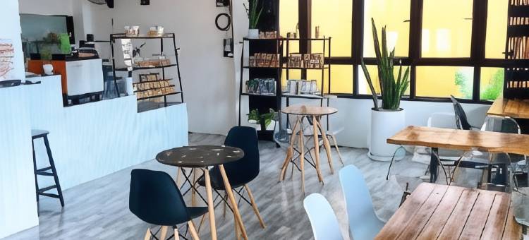 宋卡熊猫之家及咖啡馆(Panda Home @ Cafe Songkhla)图片