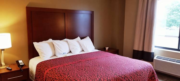 布鲁克林海洋公园戴斯酒店(Days Inn by Wyndham Brooklyn Marine Park)图片