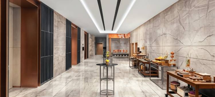 果阿潘吉姆诺富特酒店(Novotel Goa Panjim)图片