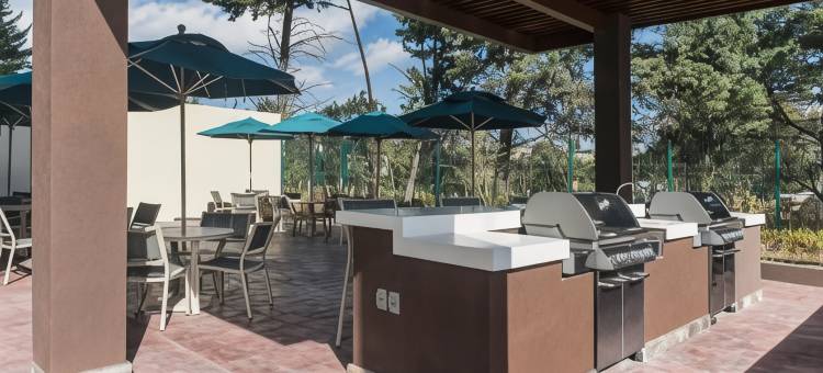 普埃布拉Staybridge Suites(Staybridge Suites PUEBLA by IHG)图片