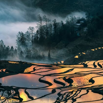 云南昆明+罗平+建水+元阳+抚仙湖+普者黑景区+坝美世外桃源景区+元谋土林+弥勒9日8晚私家团