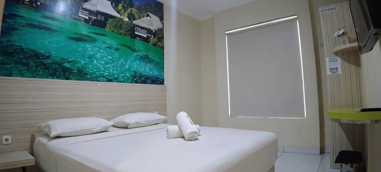 帕玛旅馆(Pama Hostel)图片