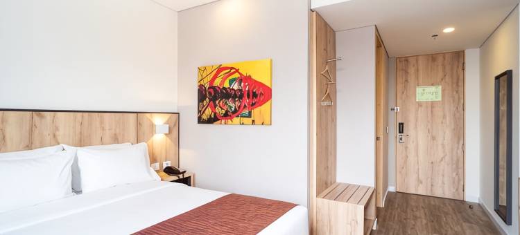 ZF行政区酒店(Hotel Distrito ZF)图片