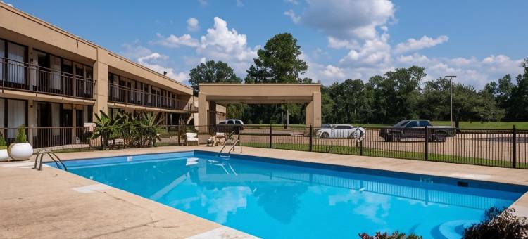 弗朗西斯酒店(Hotel Francis)图片