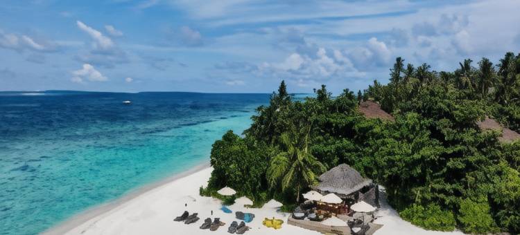 阿瓦尼+安凡尼马尔代夫度假村(Avani+ Fares Maldives Resort)图片
