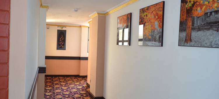 塔希林公馆水疗酒店(Tashiling Residency Hotel & Spa)图片