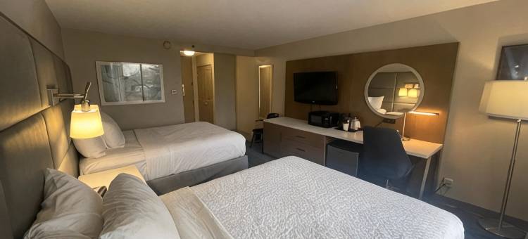 克里夫兰独立村华美达酒店(Ramada by Wyndham Cleveland Independence)图片