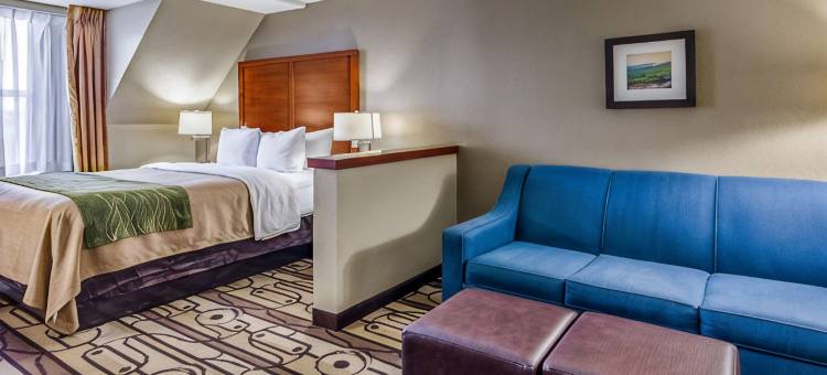 舒适套房酒店(Comfort Inn & Suites)图片