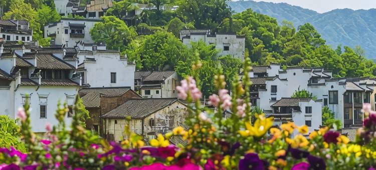婺源沁悦民宿(篁岭景区天街店)图片