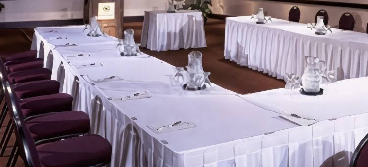 哈密尔顿喜来登酒店(Sheraton Hamilton Hotel)图片