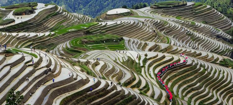龙胜山景楼客栈图片