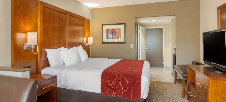 南方公园舒适套房酒店(Comfort Suites Southpark)图片