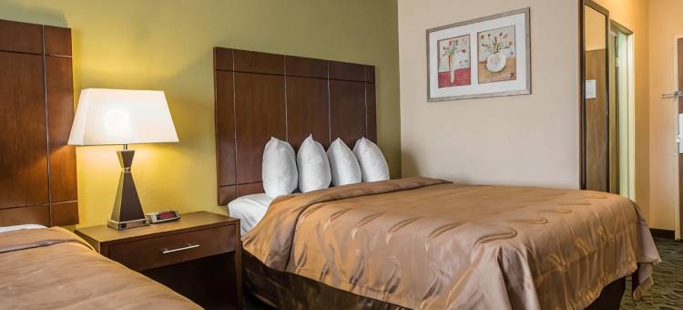 凯艺套房酒店(Quality Inn & Suites Bloomington I-55 and I-74)图片
