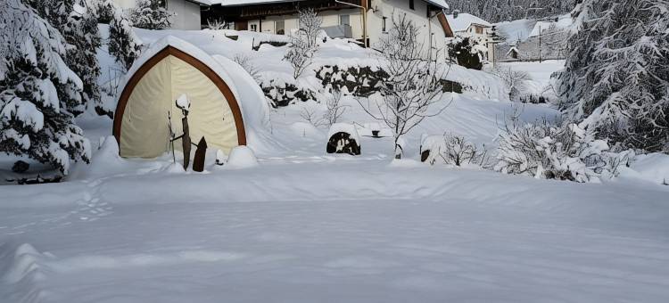 穆尔格巴赫兰德酒店(Landhotel Mühle zu Gersbach)图片