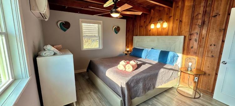 沙滩生活-鹈鹕北巢乡村民宿-宠物友好！(Sand Life - Pelican's Northern Nest -Pet Friendly!)图片