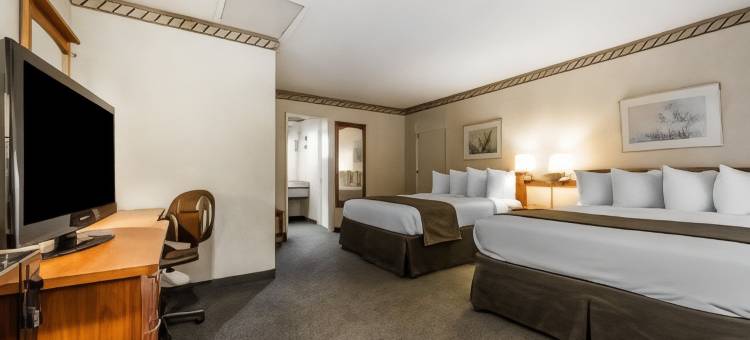 硅谷凯艺套房酒店(Quality Inn & Suites Silicon Valley)图片