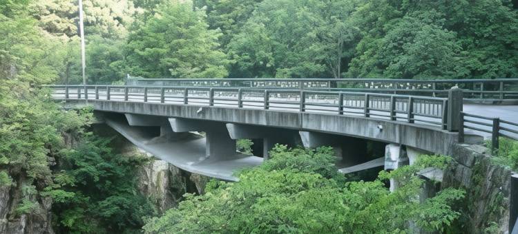 角屋温泉别墅(Kadoya)图片