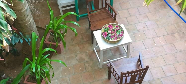 达芙妮酒店(Daphne Hotel)图片
