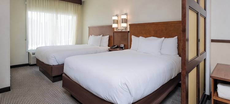 查尔斯顿机场/会议中心凯悦嘉轩酒店(Hyatt Place Charleston Airport/Convention Center)图片