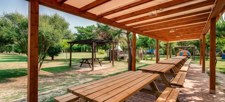天堂海岸酒店(Aparthotel Costa Paradiso)图片