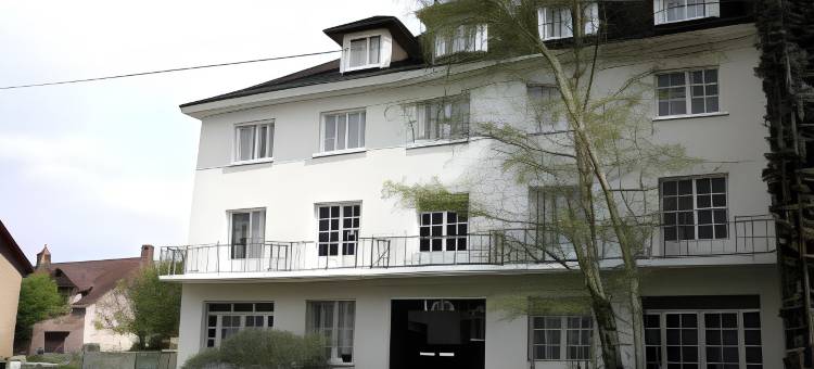 拉罗舍波赛欧罗巴酒店(Hotel de l'Europe, la Roche-Posay)图片