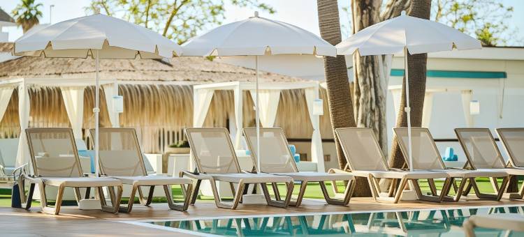 Alua Boccaccio图片