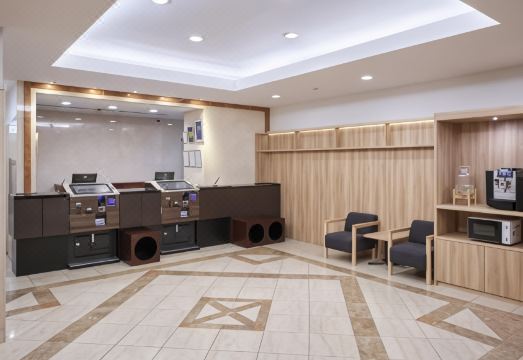 Hotel Villa Fontaine Tokyo-Jimbocho Hotel Overview