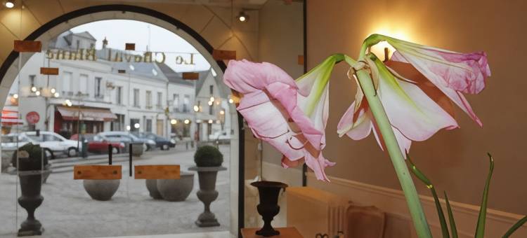 白马庄园餐厅酒店(Logis Hotel Restaurant le Cheval Blanc)图片