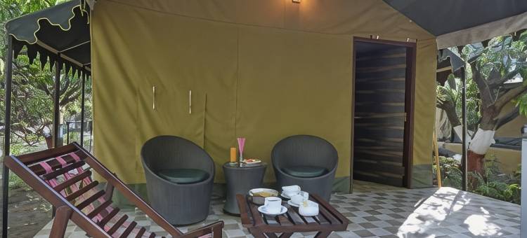 GIR狮子野生动物园营地(Gir Lion Safari Camp)图片