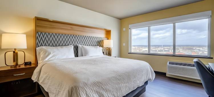渥太华加蒂诺假日酒店(Holiday Inn Gatineau – Ottawa)图片